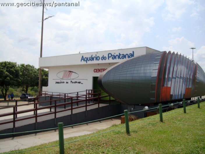 3667-geocities-ws-pantanal.jpg