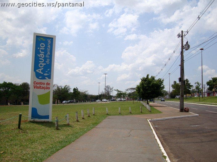 3669-geocities-ws-pantanal.jpg