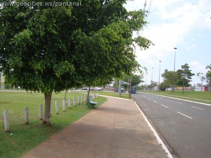 3670-geocities-ws-pantanal.jpg
