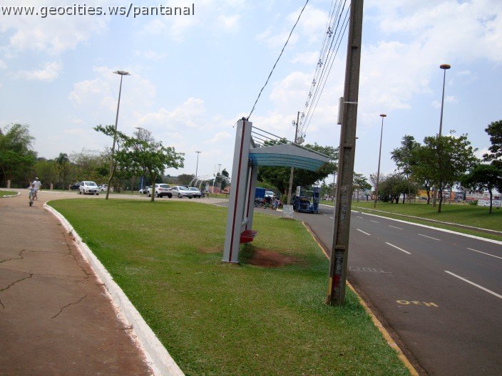 3671-geocities-ws-pantanal.jpg