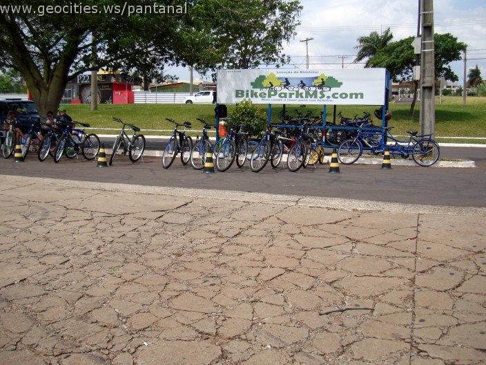 3673-geocities-ws-pantanal.jpg