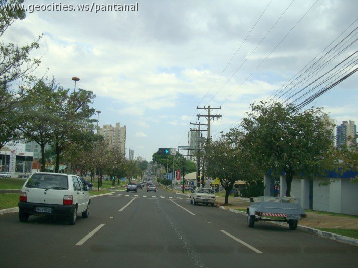 3685-geocities-ws-pantanal.jpg