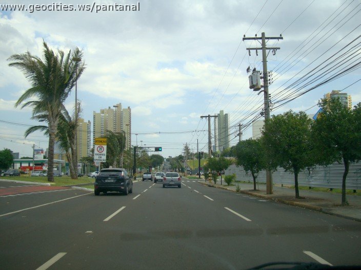 3686-geocities-ws-pantanal.jpg