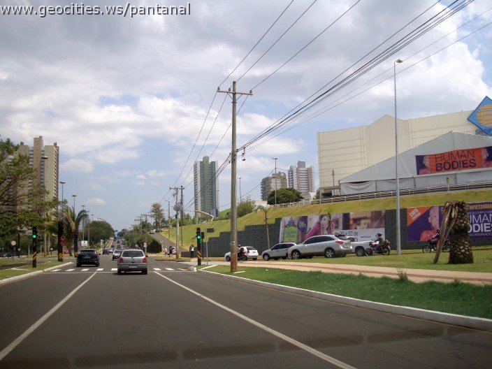 3687-geocities-ws-pantanal.jpg
