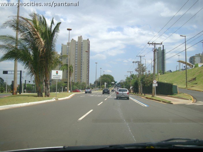 3688-geocities-ws-pantanal.jpg