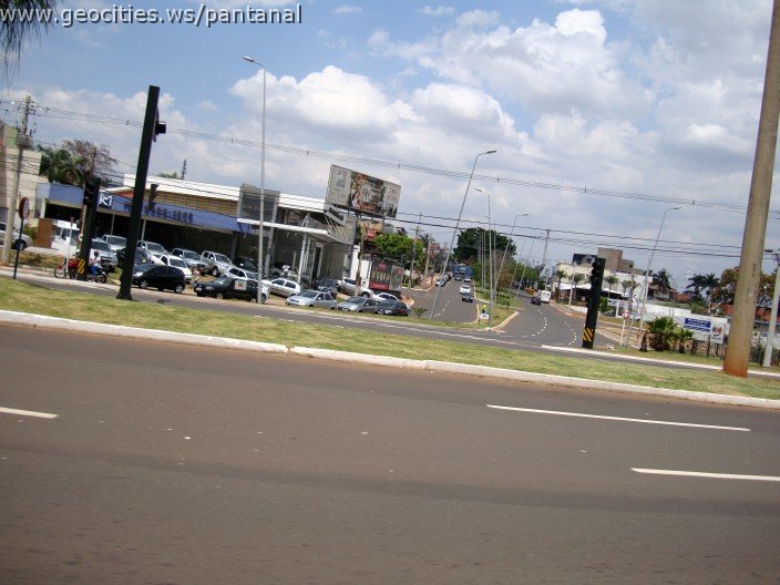 3689-geocities-ws-pantanal.jpg