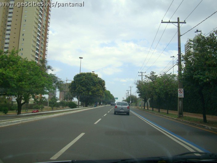 3691-geocities-ws-pantanal.jpg
