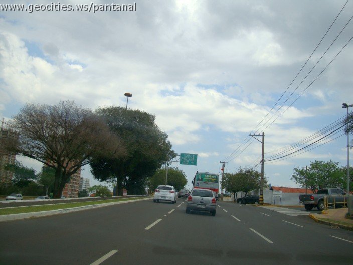 3692-geocities-ws-pantanal.jpg