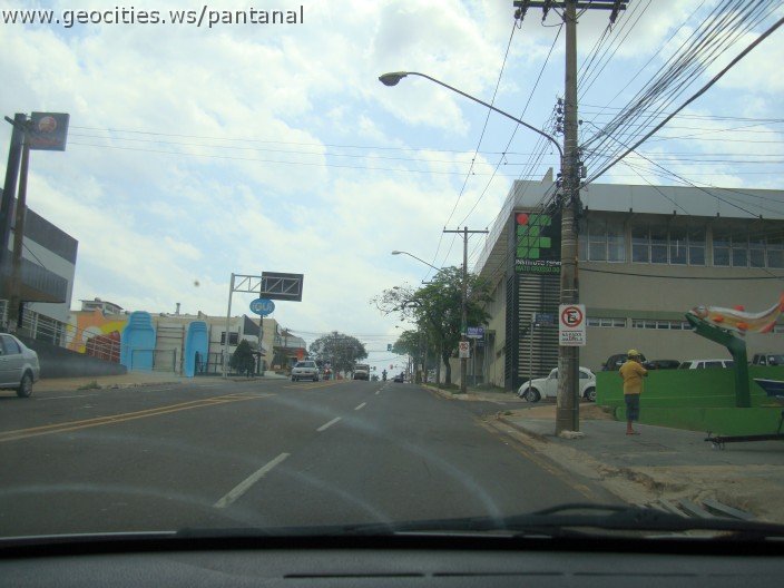 3696-geocities-ws-pantanal.jpg