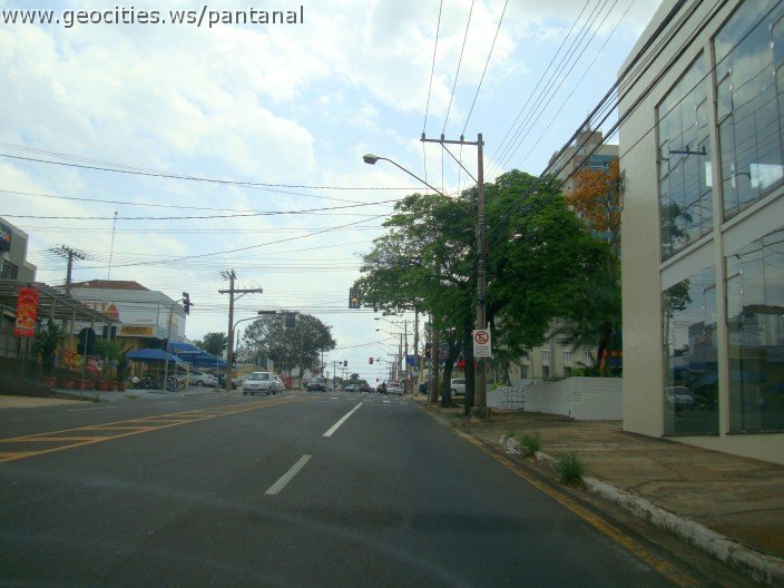 3697-geocities-ws-pantanal.jpg