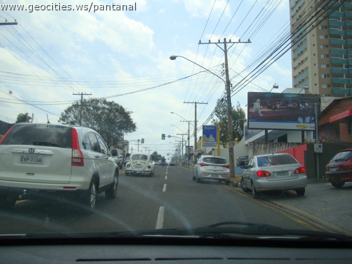 3699-geocities-ws-pantanal.jpg