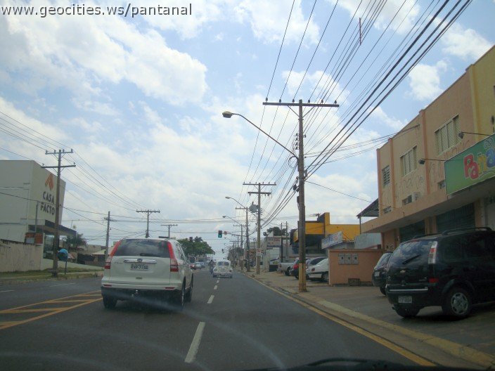 3700-geocities-ws-pantanal.jpg