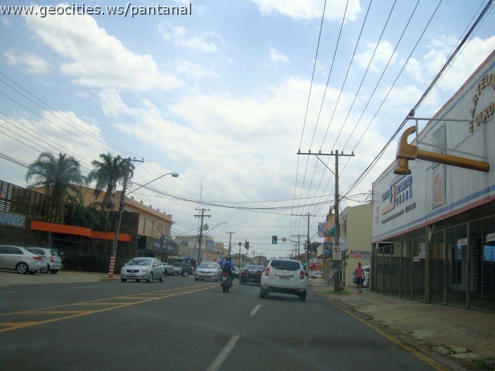 3705-geocities-ws-pantanal.jpg