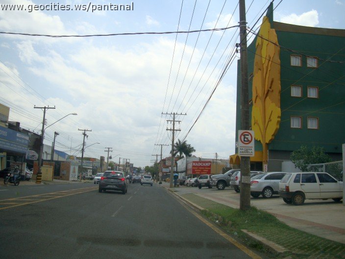 3706-geocities-ws-pantanal.jpg