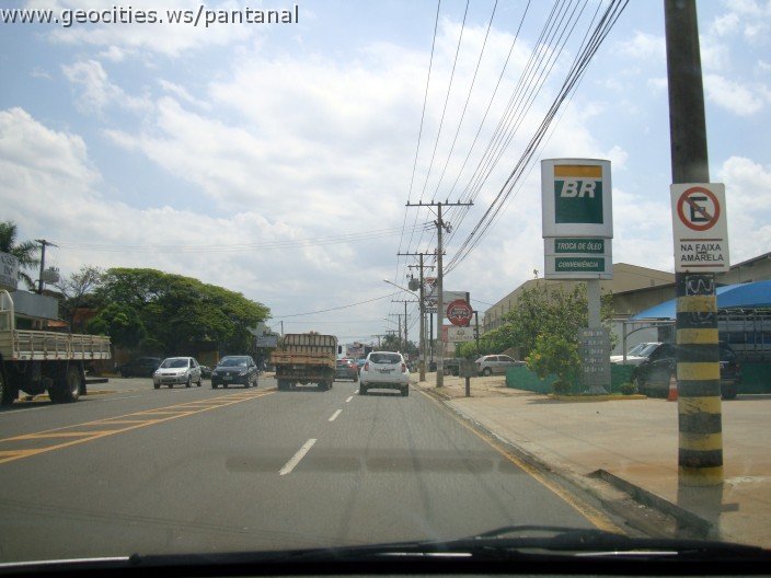 3708-geocities-ws-pantanal.jpg