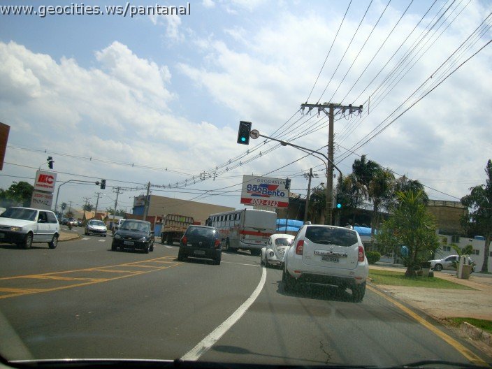 3709-geocities-ws-pantanal.jpg