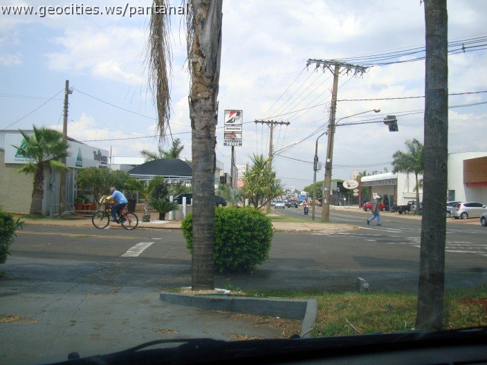 3710-geocities-ws-pantanal.jpg