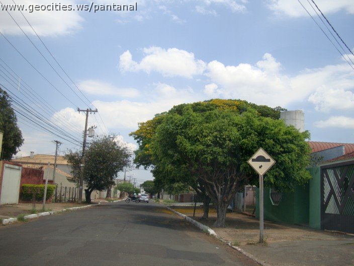 3712-geocities-ws-pantanal.jpg