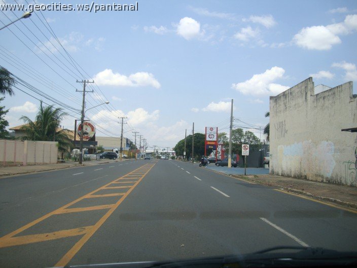 3714-geocities-ws-pantanal.jpg