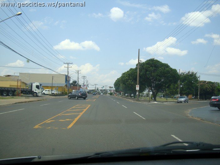 3715-geocities-ws-pantanal.jpg