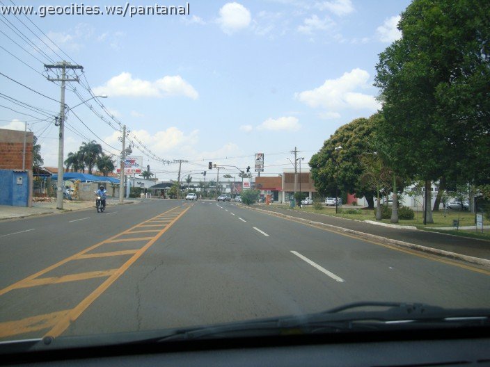 3716-geocities-ws-pantanal.jpg