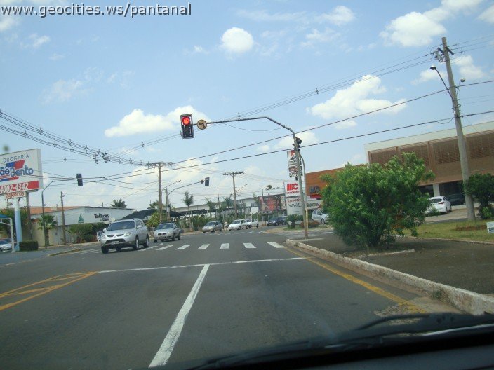 3717-geocities-ws-pantanal.jpg