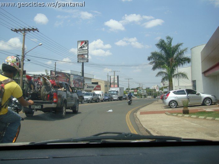 3718-geocities-ws-pantanal.jpg
