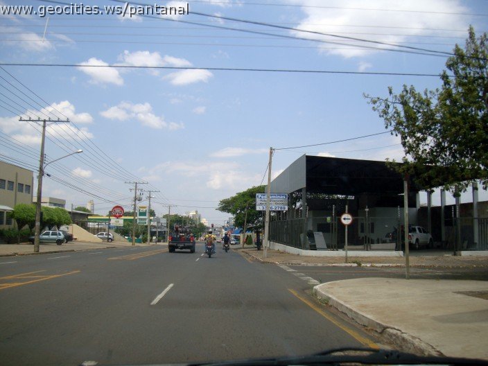 3719-geocities-ws-pantanal.jpg