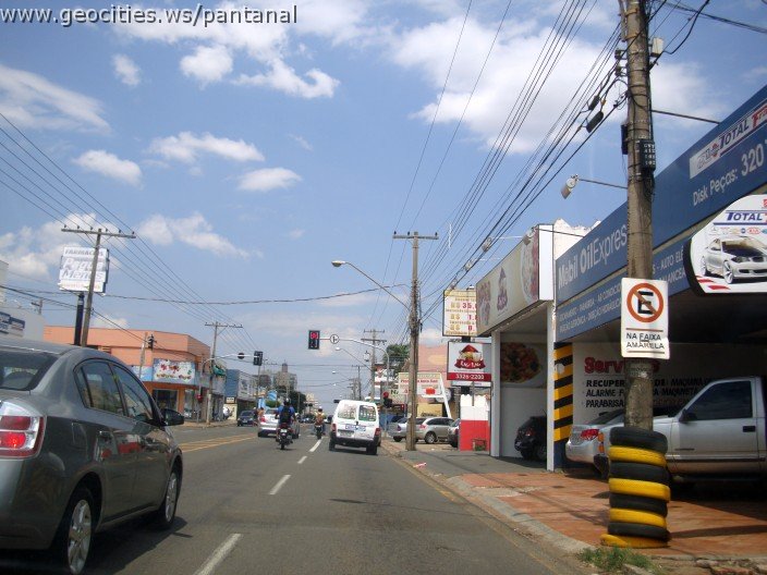 3722-geocities-ws-pantanal.jpg