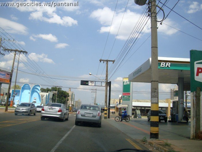 3724-geocities-ws-pantanal.jpg