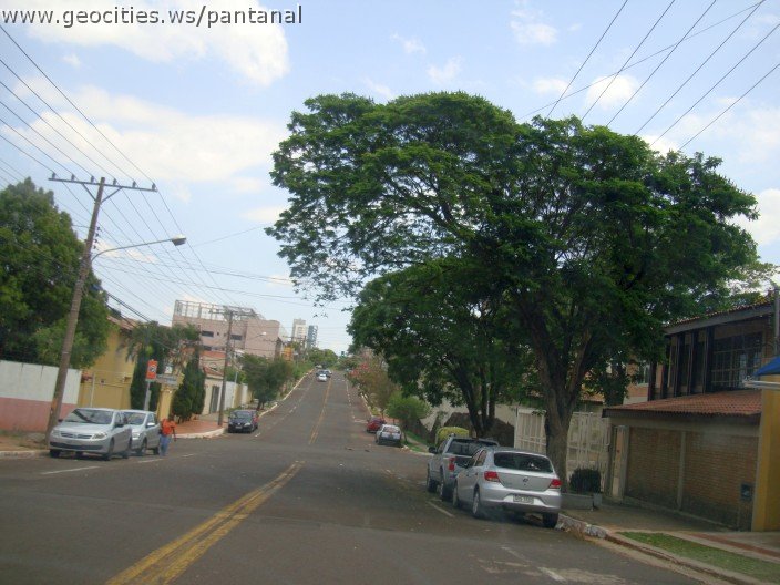 3732-geocities-ws-pantanal.jpg