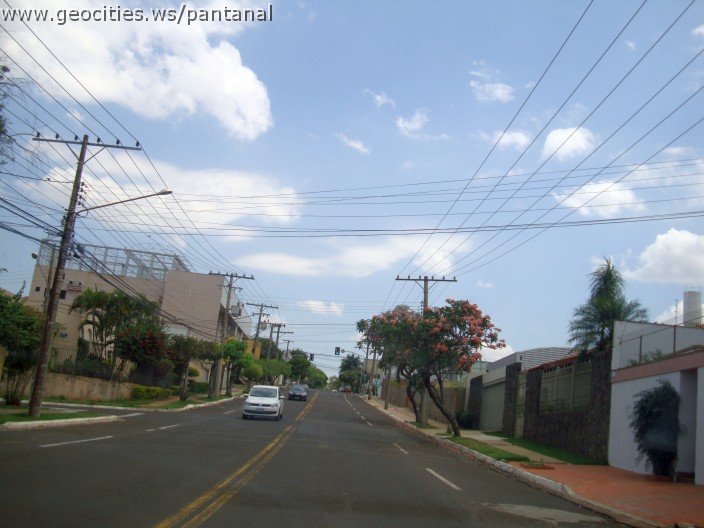 3733-geocities-ws-pantanal.jpg