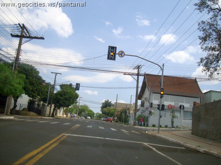 3734-geocities-ws-pantanal.jpg