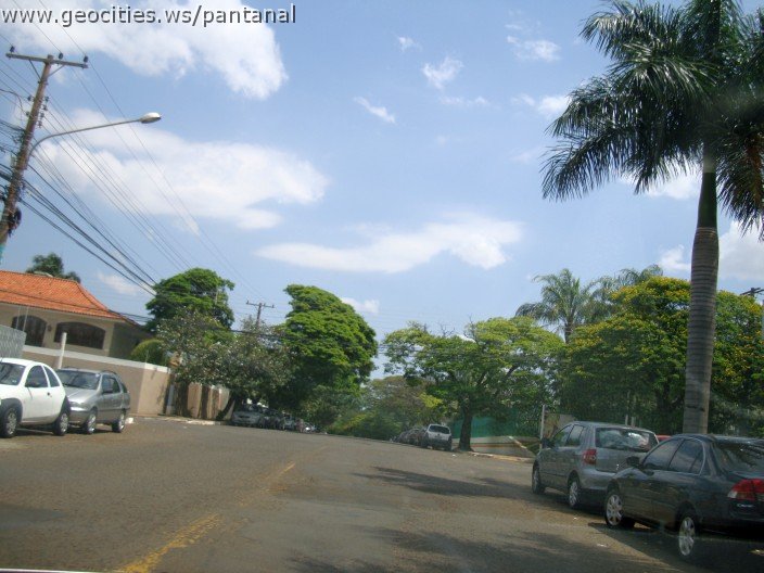 3735-geocities-ws-pantanal.jpg