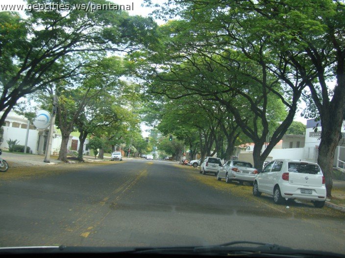 3738-geocities-ws-pantanal.jpg