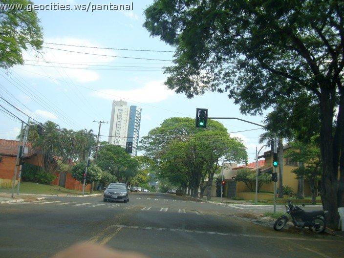 3739-geocities-ws-pantanal.jpg