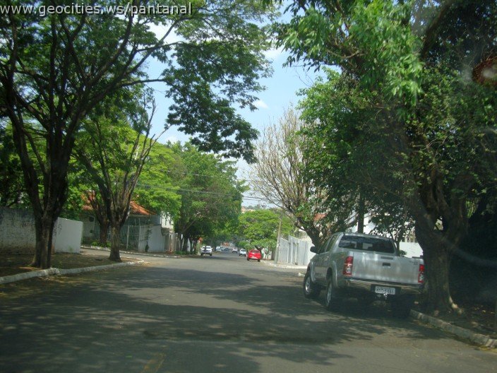 3740-geocities-ws-pantanal.jpg