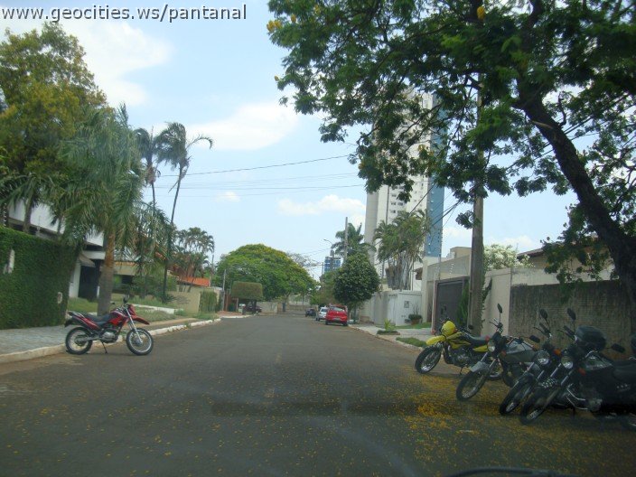3743-geocities-ws-pantanal.jpg