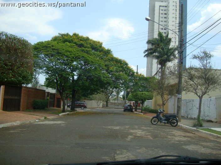 3745-geocities-ws-pantanal.jpg