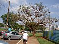 3420-geocities-ws-pantanal