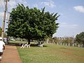 3421-geocities-ws-pantanal