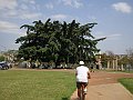 3422-geocities-ws-pantanal