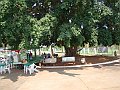 3424-geocities-ws-pantanal