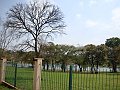 3431-geocities-ws-pantanal
