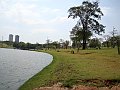 3453-geocities-ws-pantanal