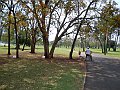 3458-geocities-ws-pantanal