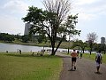 3460-geocities-ws-pantanal