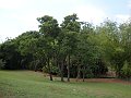 3473-geocities-ws-pantanal