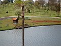 3495-geocities-ws-pantanal