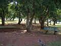 3524-geocities-ws-pantanal